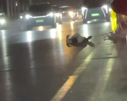 Dude relaxing on road gets run over