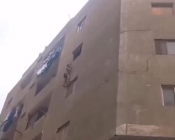 Egyptian thief falls to his death