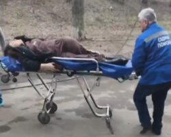 Falling tree broke young woman’s spine