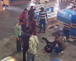 Fatally crushed in workplace accident