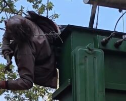 Fatally electrocuted Indian guy