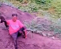 Forester’s leg ripped open to bone in rollover crash