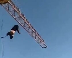 Man fleeing from police falls from crane