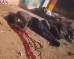 Mass execution of Sudanese civilians by RSF unit