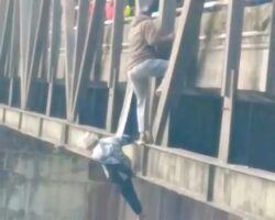 Nepali man falls off bridge in India