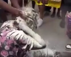 Punishment for elderly Ugandan woman for theft