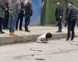 Ripped in half but somehow still alive