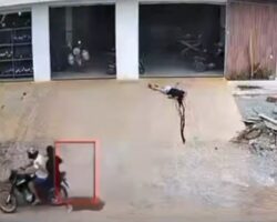 Surprised and assassinated by hitman