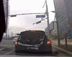 Tesla driver causes multi-vehicle collision
