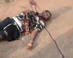 Three rice thieves shot dead by security guard