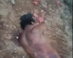 Trampled to death by wild elephant