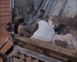 Two men crushed by compaction mechanism of garbage truck