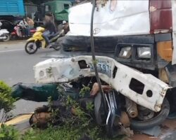 Two motorcyclists fatally struck by truck