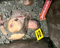 Woman brutally dismembered and hidden in septic tank