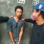 Woman brutally dismembered and hidden in septic tank