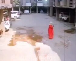 Woman dies after falling from third floor