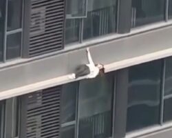 Woman rolls over edge of high-rise building