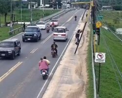 Worker critically injured after falling from ladder