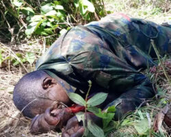 5 members of Rwandan forces killed by ISIS in Mozambique