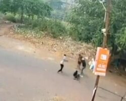 Chopped up with machetes in the middle of street