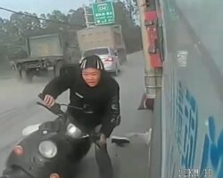 Female passenger falls from moped directly under truck