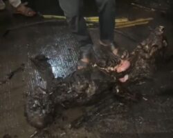 Indian man burned to ashes after collision between tractor and truck