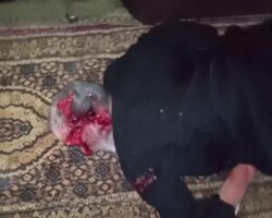 Iraqi government spy killed by ISIS