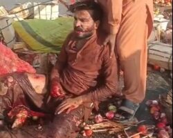 Leg torn off in traffic accident