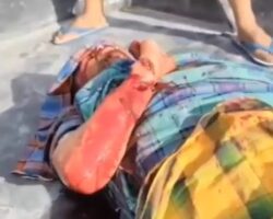 Neighbors attacked woman with machete