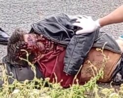 Pedestrian killed in hit-and-run incident