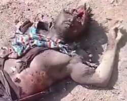 RSF soldier with his brain blown out