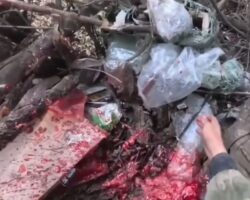 Russian soldiers finish off injured Ukrainian