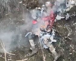 Soldier struggles against drone in vain