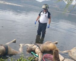 Three bodies found in lake in Guatemala