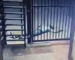 Violently robbed in front of his wife