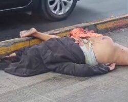 Woman ends her life by jumping from highway overpass