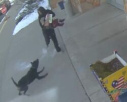 Woman holding her child violently attacked by loose dog