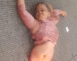 Woman torn in half while trying to cross highway