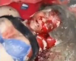 Aftermath of serious tourist bus accident