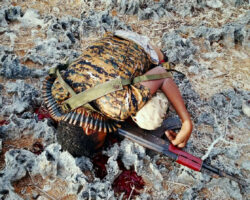 Al-Shabaab terrorists captured Somali island of Kudha