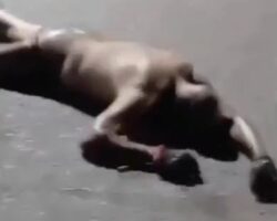 CV member executed by his rivals from TCP