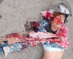 Cambodian woman thrown from moped under truck