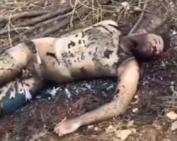 Charred male corpse found in wooded area