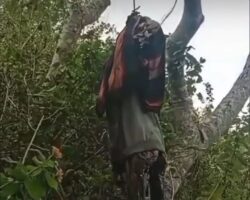 Decomposed hanged man found in remote area
