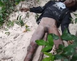 Discovery of female body with wooden rod inserted into her vagina