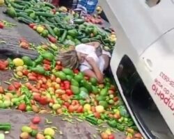 Female biker seriously injured in collision between fruit truck and bus