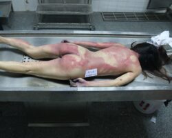 Female corpse found stuffed in freezer