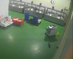 Female worker killed by kneading machine