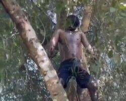 Hanged man found in Indonesian jungle