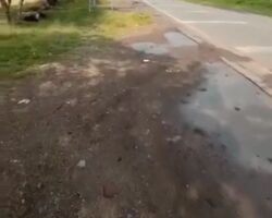 Ice-cream vendor shot dead during live Facebook stream